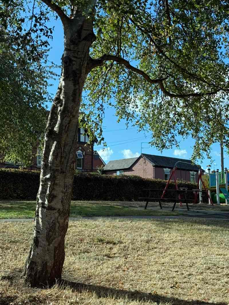 walking near me in Astwood Bank Park in autumn