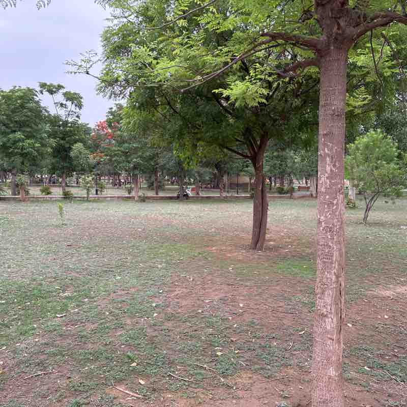 Rajesh🇮🇳 post 1