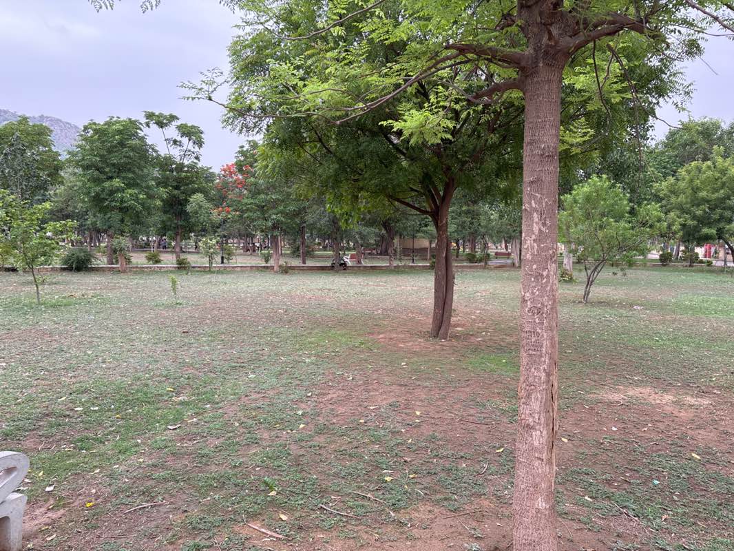 walking near me in D Block Park in summer