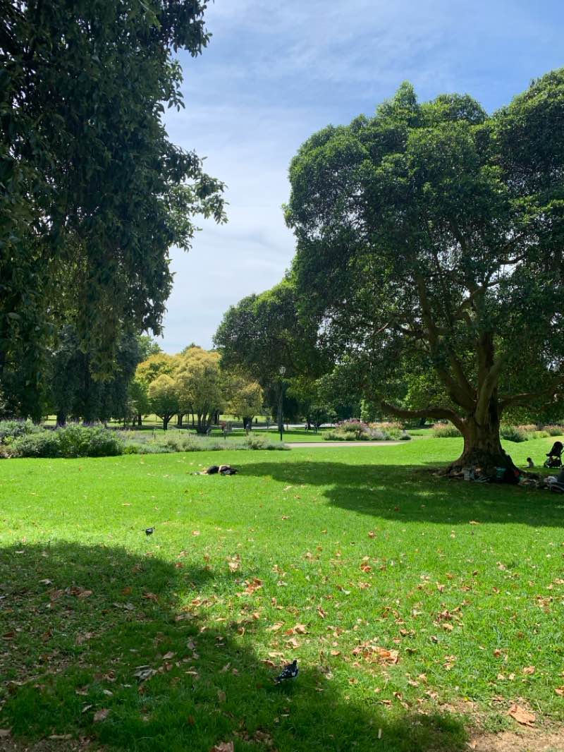 walking near me in Queen Victoria Gardens in summer