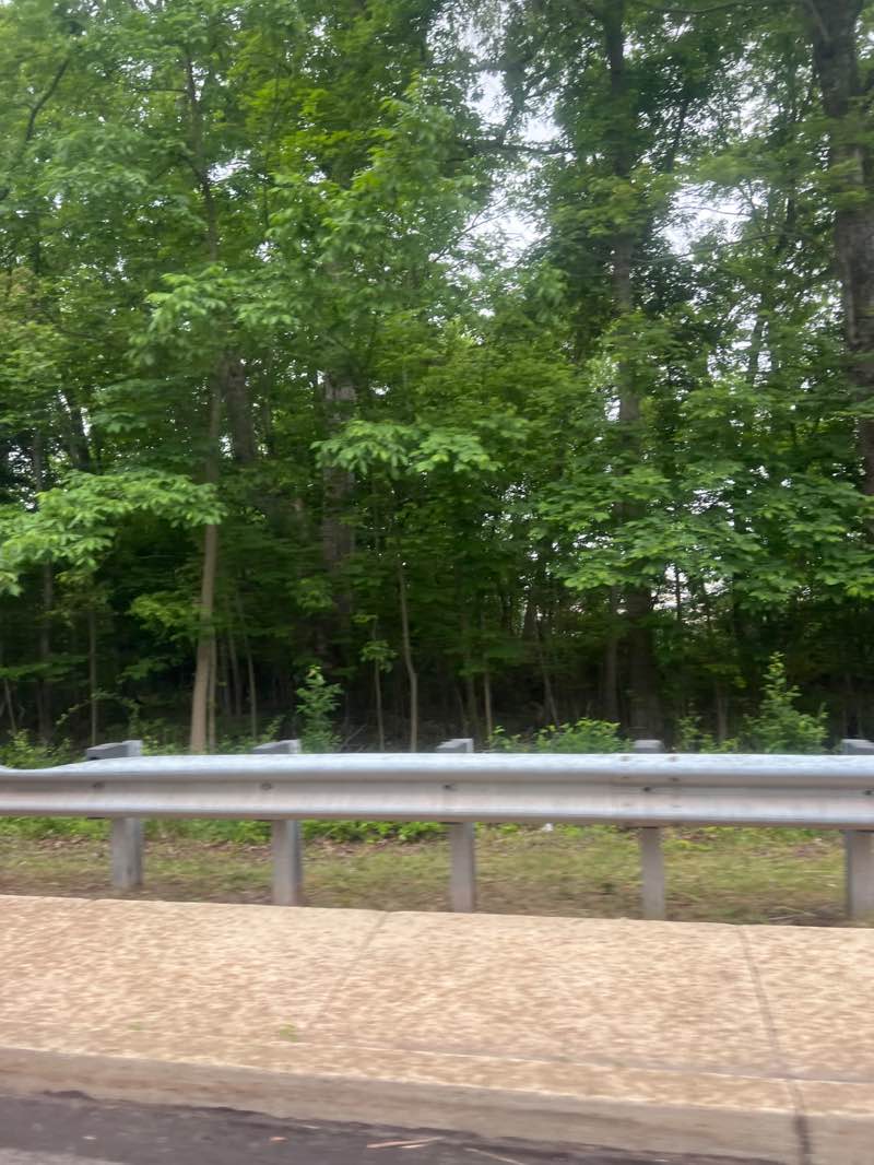 walking near me in Kohler Park in summer