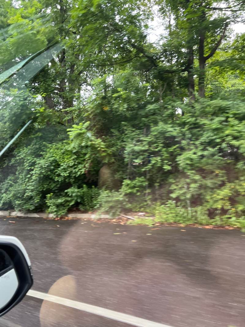 walking near me in Cheston Robbins Park in autumn