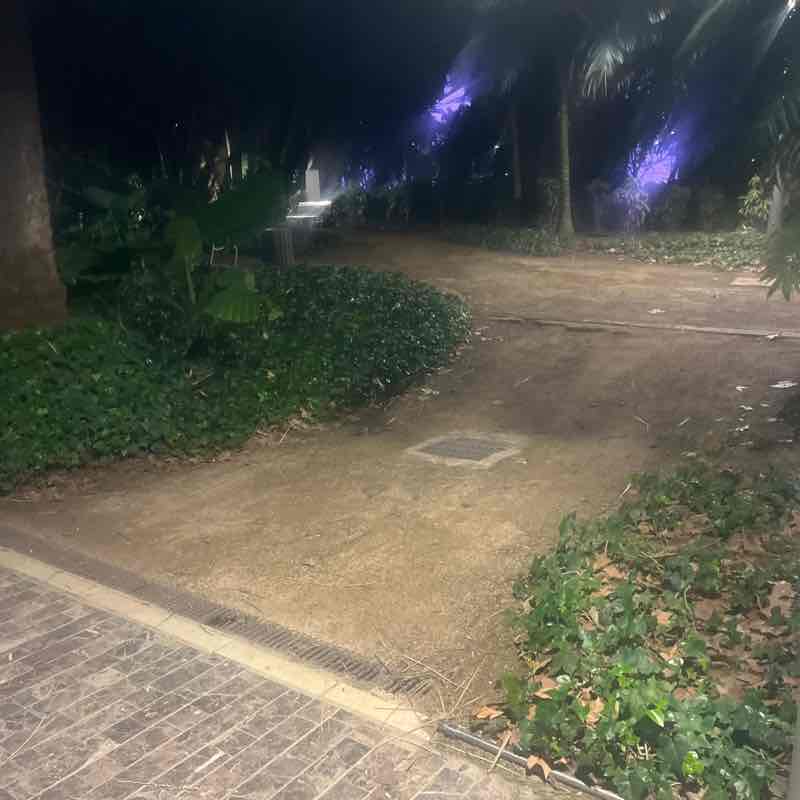 Los paseantes  Málaga Figueres antoniojvillaverde post image