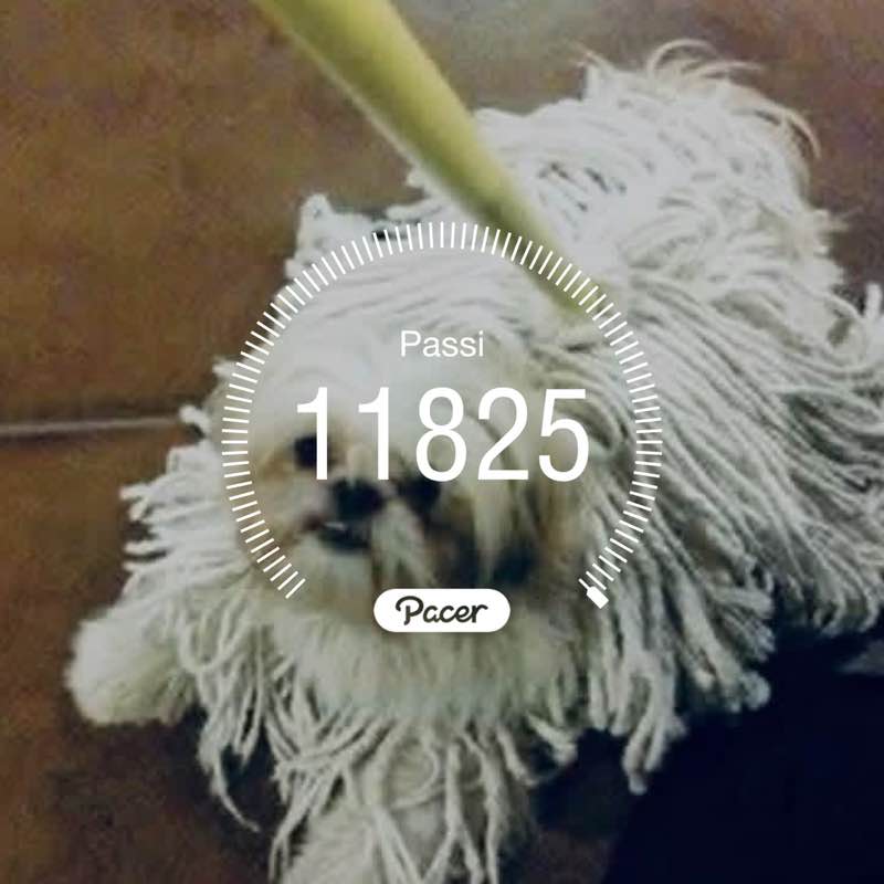 🍀Marty🍀 post 1