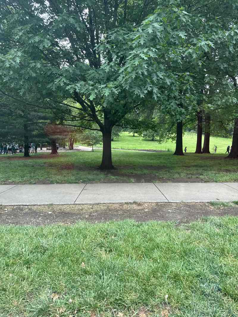 walking near me in Jacob L. Loose Memorial Park in spring