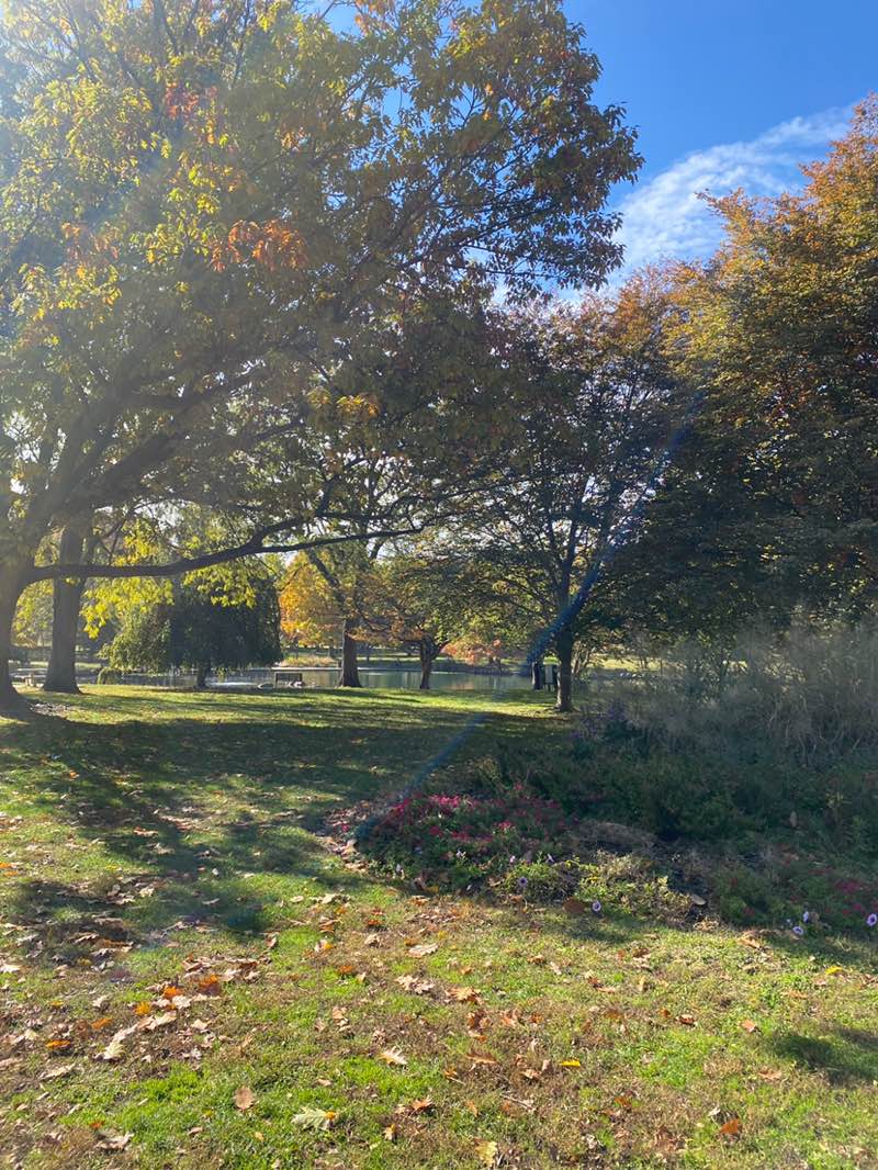 walking near me in Goodale Park in autumn