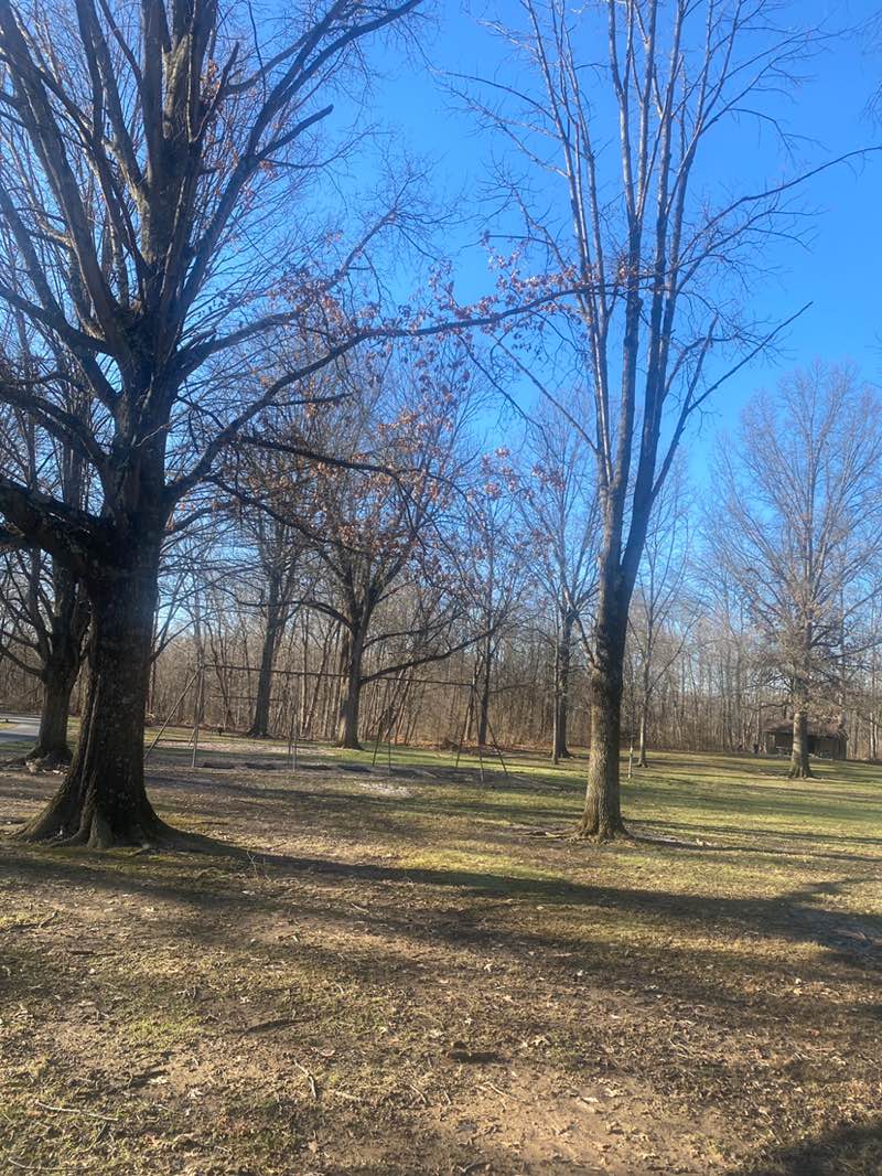 walking near me in Highbanks Metro Park in winter