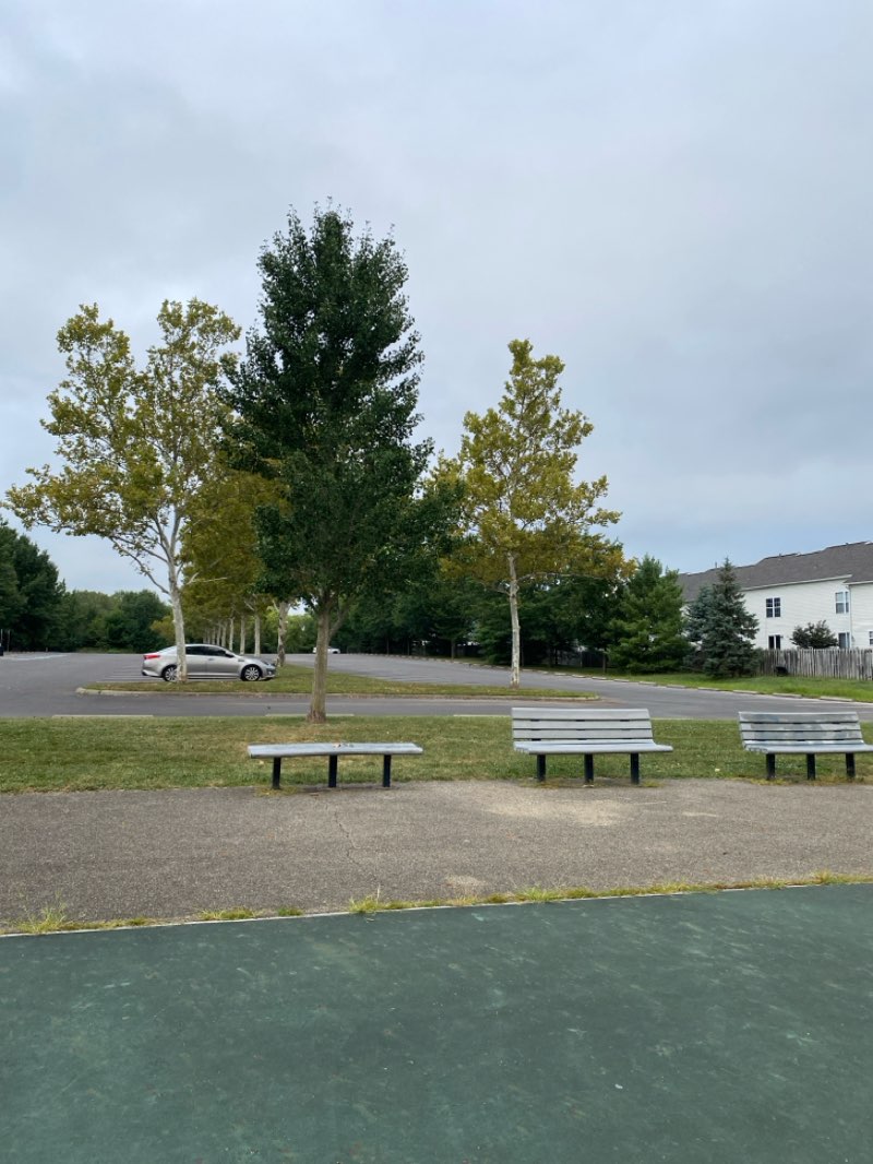 walking near me in Lazelle Woods Park in autumn