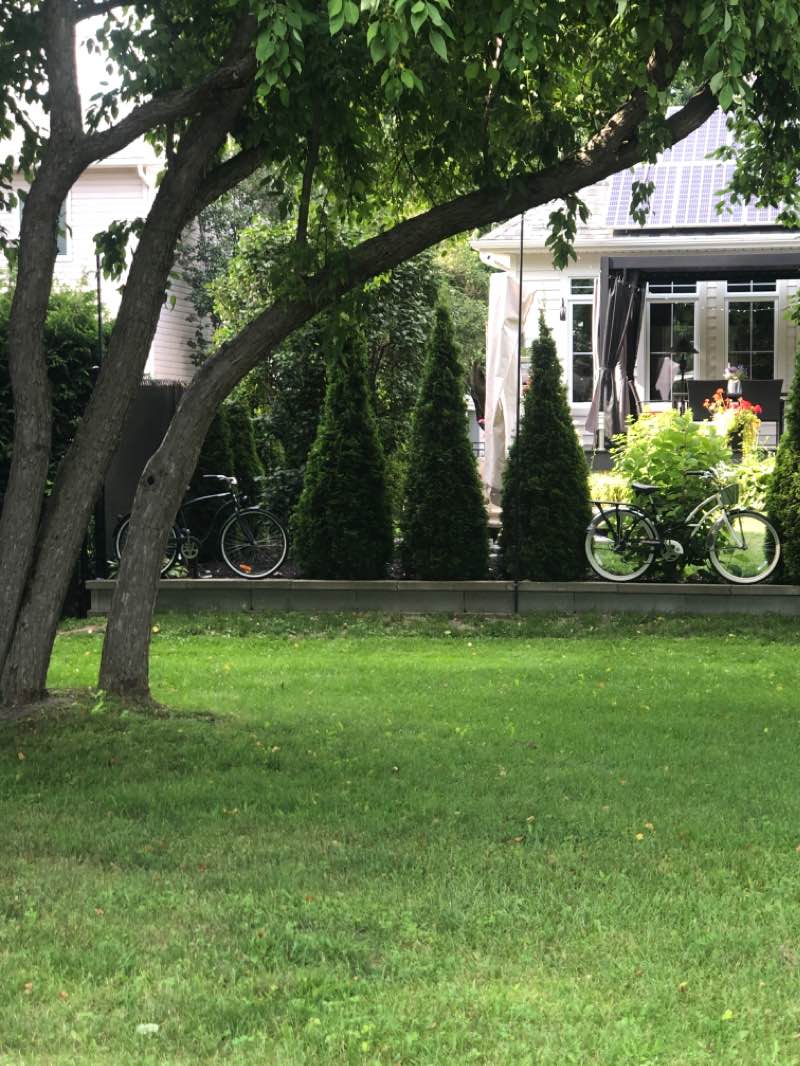 walking near me in La Route des Champs in winter