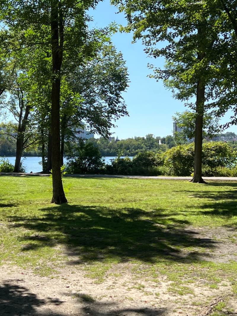 walking near me in Leamy Lake Park in winter
