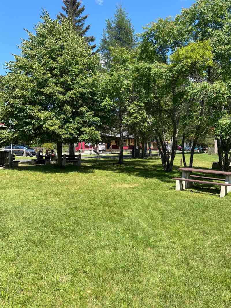 walking near me in Parc de la Gare in winter