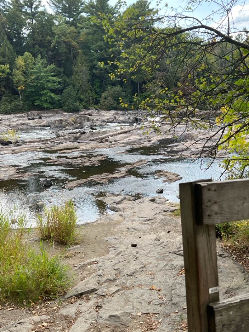 walking near me in Parc Saint-George in autumn
