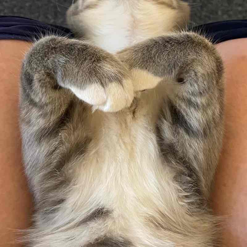 ShooterWalker post 1