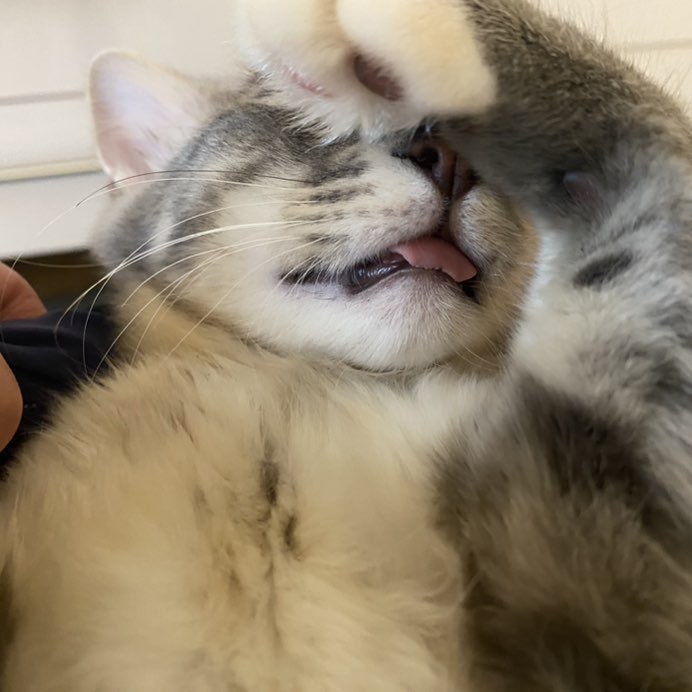 ShooterWalker post 2