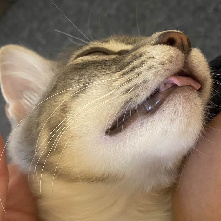 ShooterWalker post 3