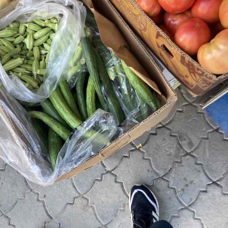 ☀️🌶Genti🌶☀️ post 1