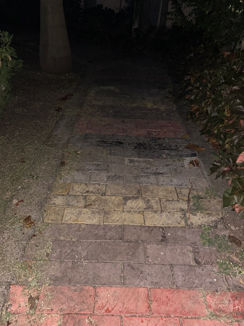 walking near me in Bank Colony Public Park in autumn