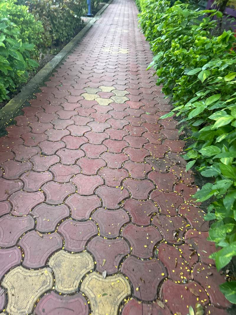 walking near me in Maharana Pratap Udhyaan in autumn