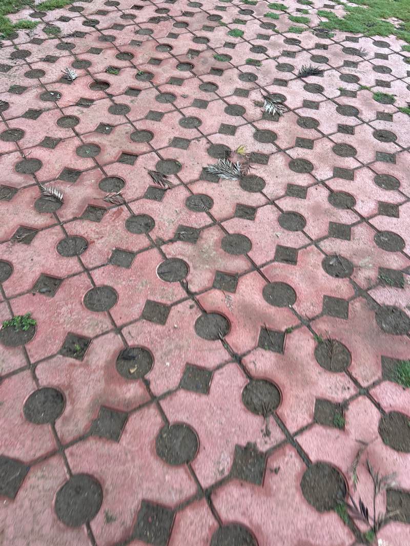 walking near me in Harsidhi Park in autumn