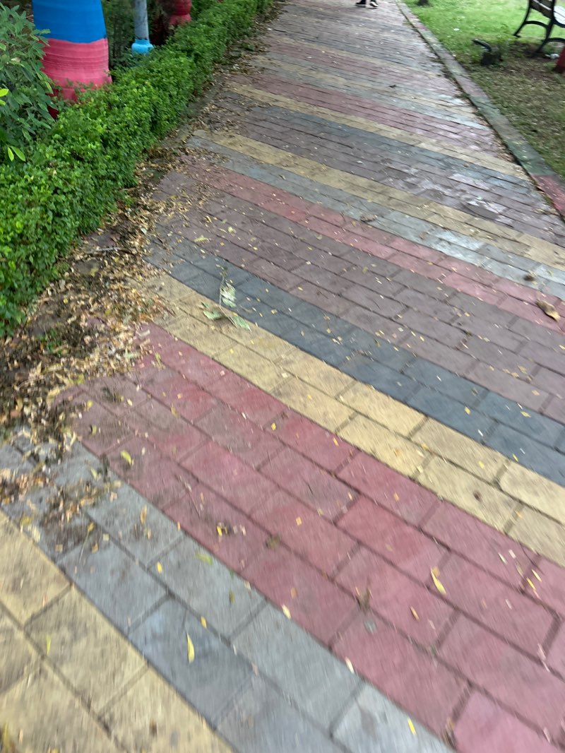 walking near me in Shreenath Garden in autumn