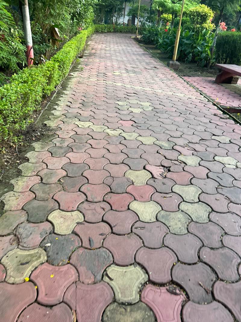 walking near me in Butukeshwar Dutt Udhyan in autumn