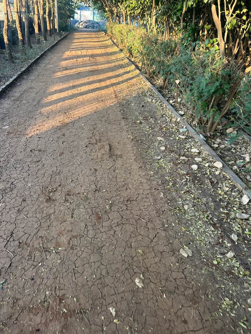 walking near me in Late.Gawade Oxygen Park in winter