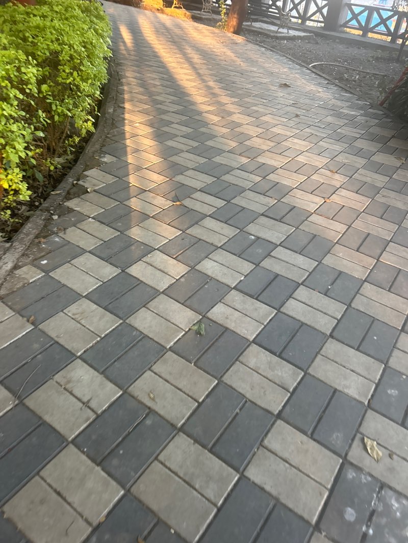 walking near me in Theragon Boat Club Park in winter