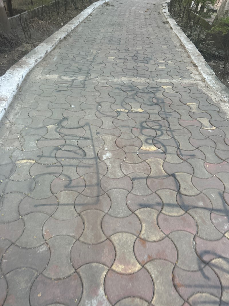 walking near me in Savtamali Garden in winter