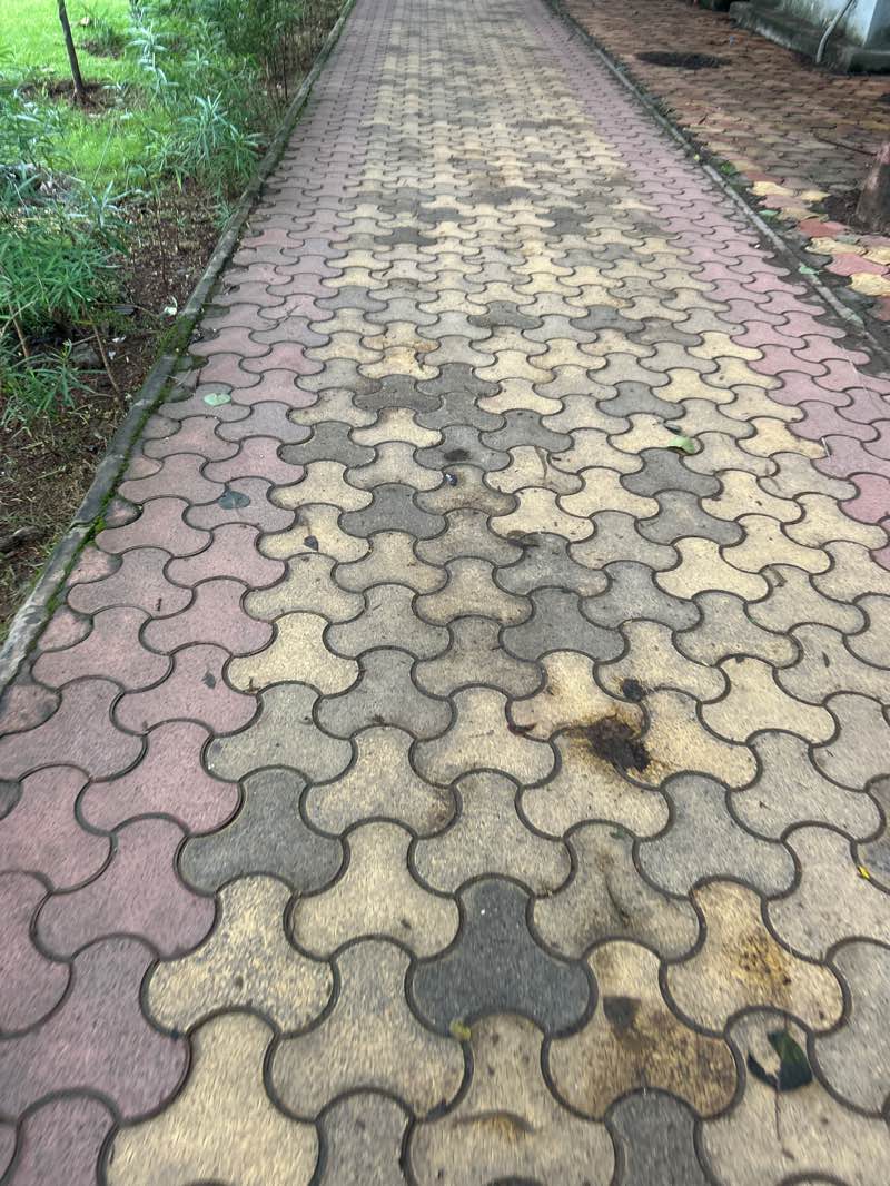 walking near me in Laxmibai Barne Udyan in autumn