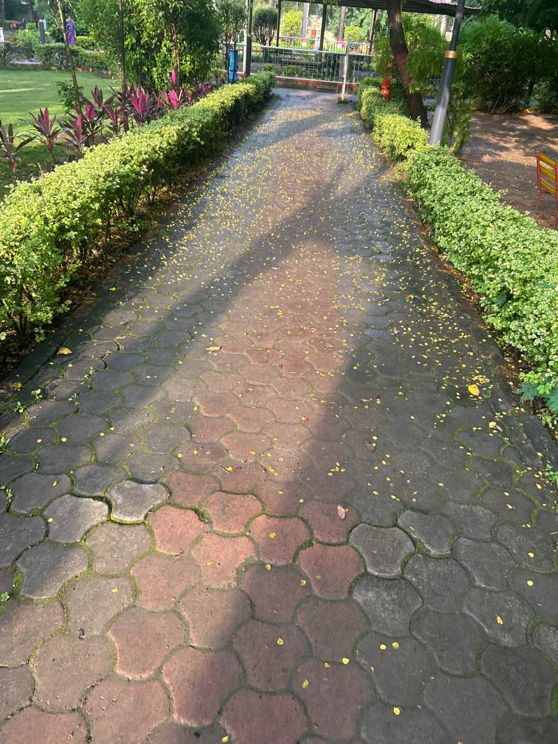 walking near me in Pimple Nilakh Park in autumn