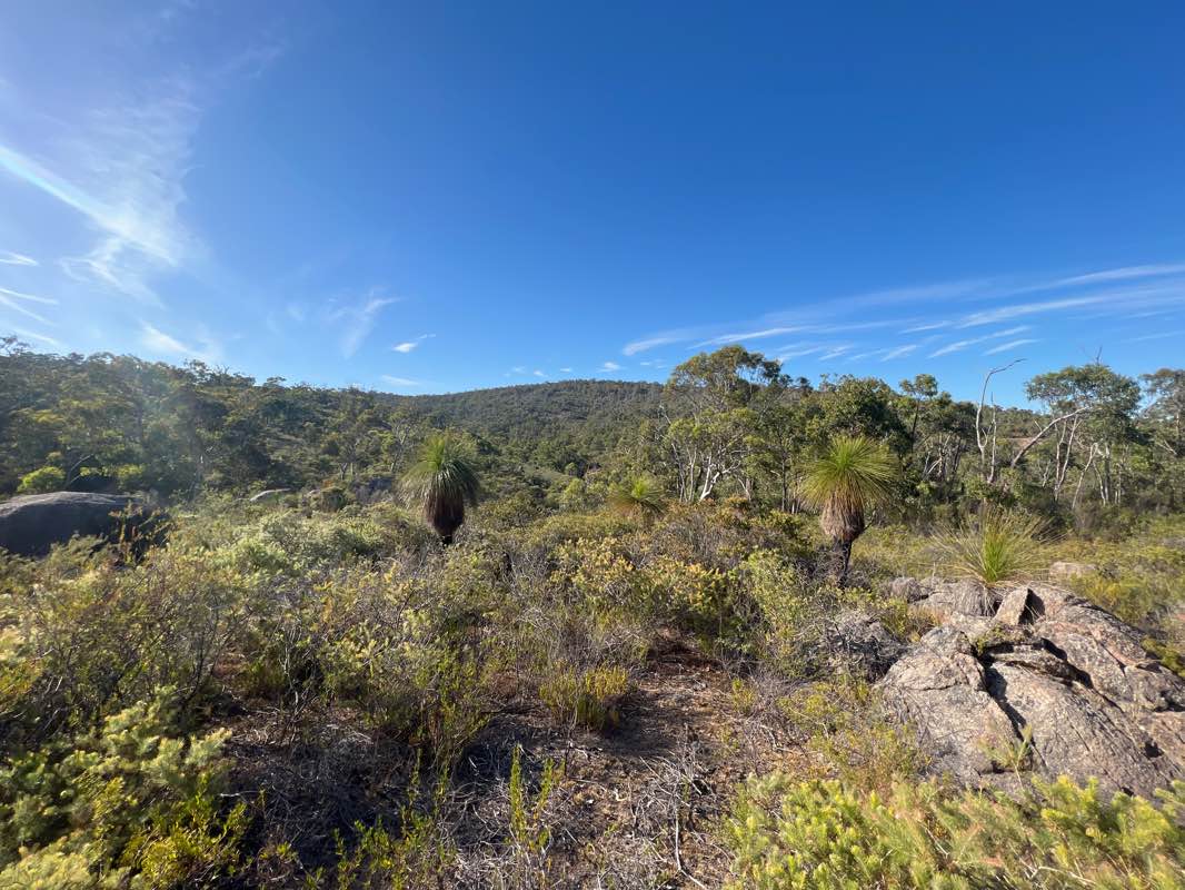 walking near me in John Forrest National Park in summer