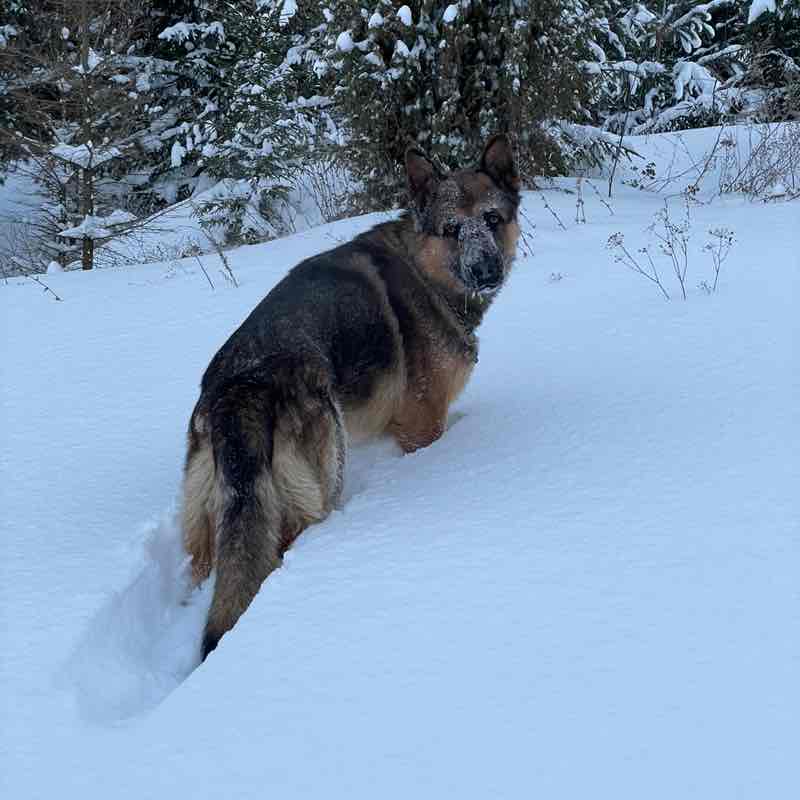 Александр post 2