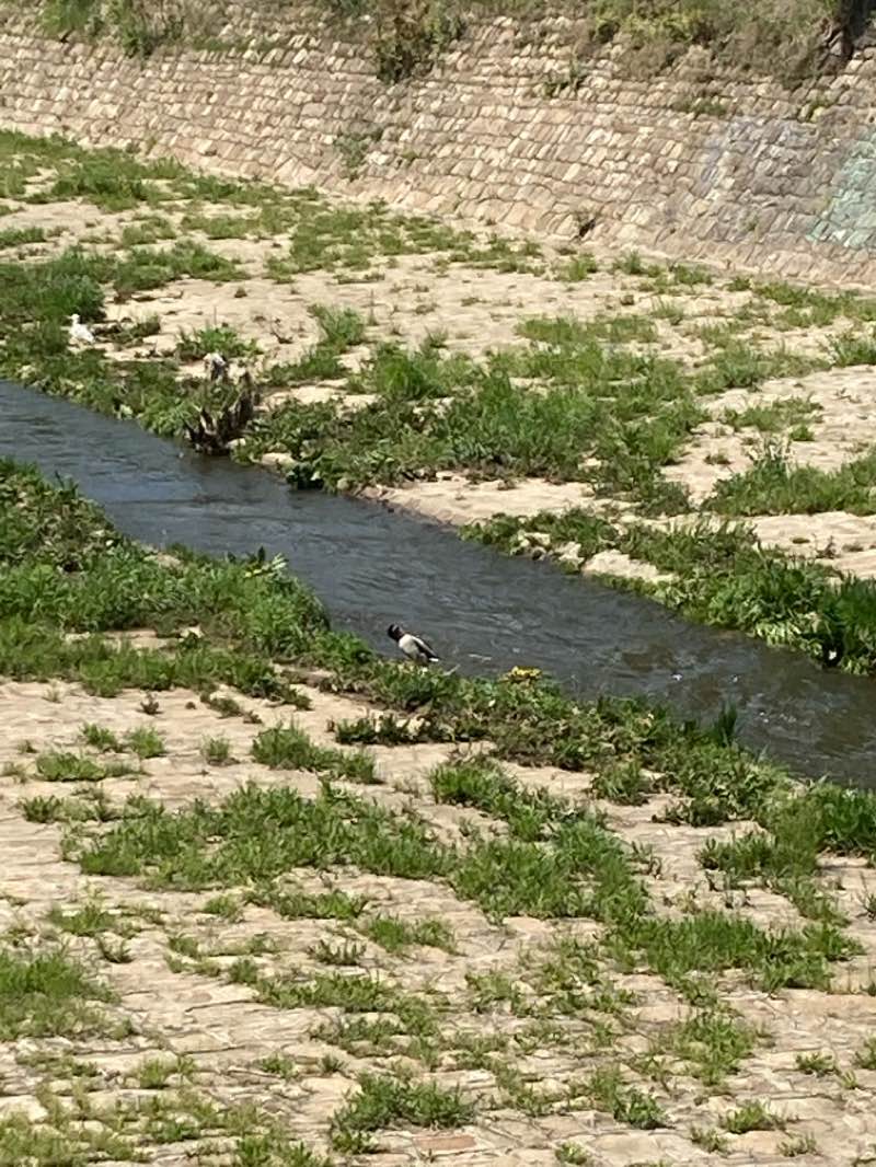 walking near me in Makedonia Park in winter