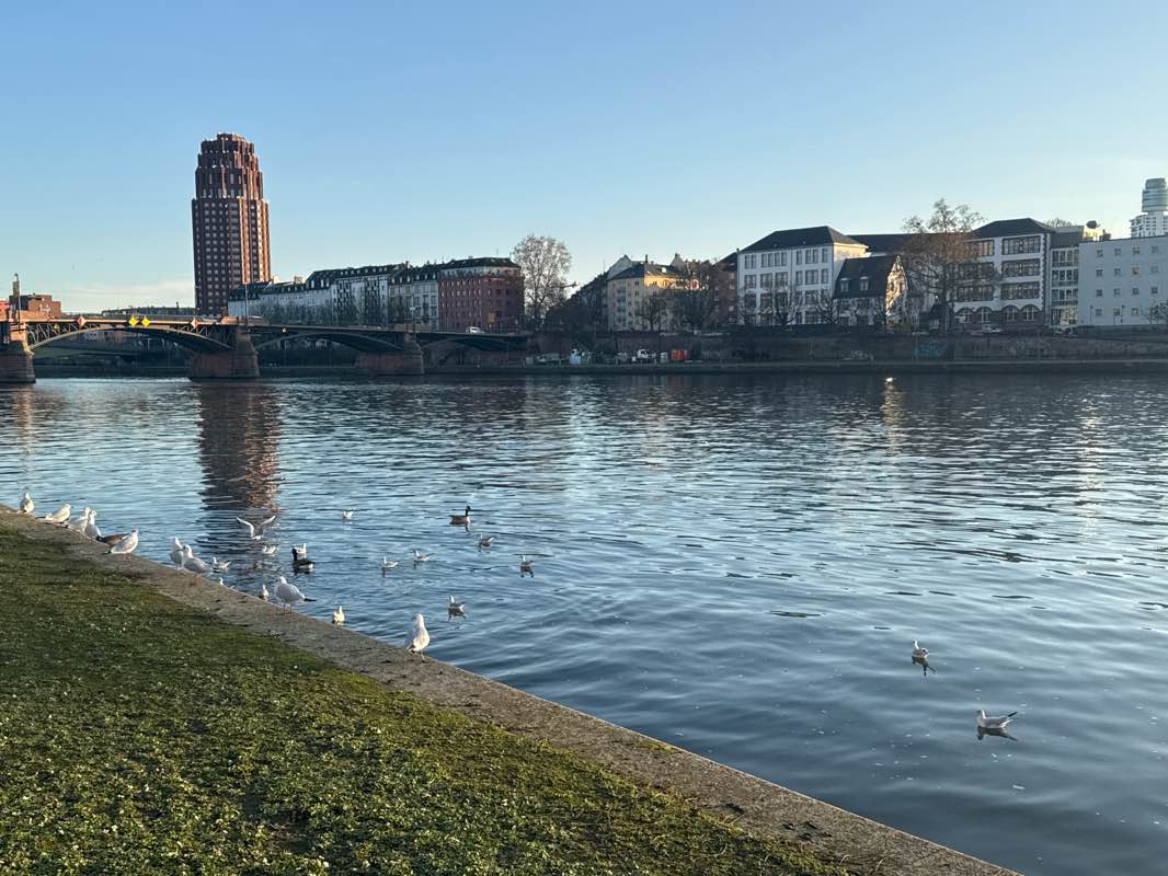 walking near me in Obermainanlage in winter