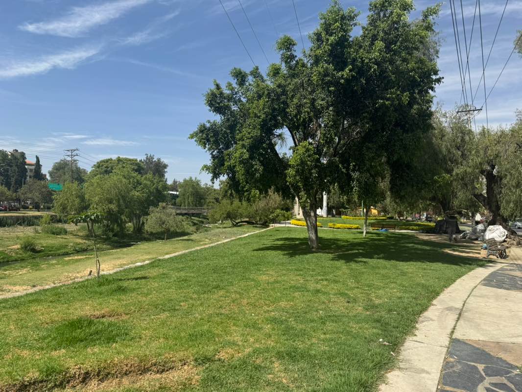 walking near me in Jardinera Norte Río Rocha in spring