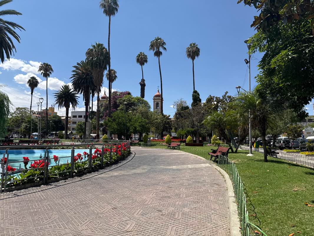 walking near me in Plaza Colón in spring