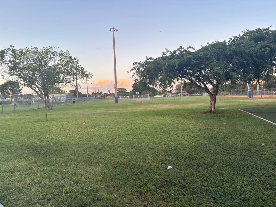 walking near me in Charles B Stafford Park in autumn
