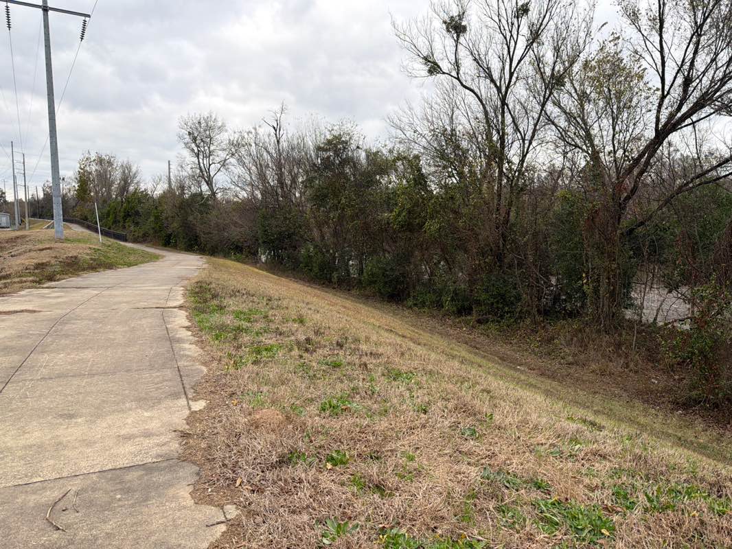 walking near me in Ocmulgee Riverwalk in winter
