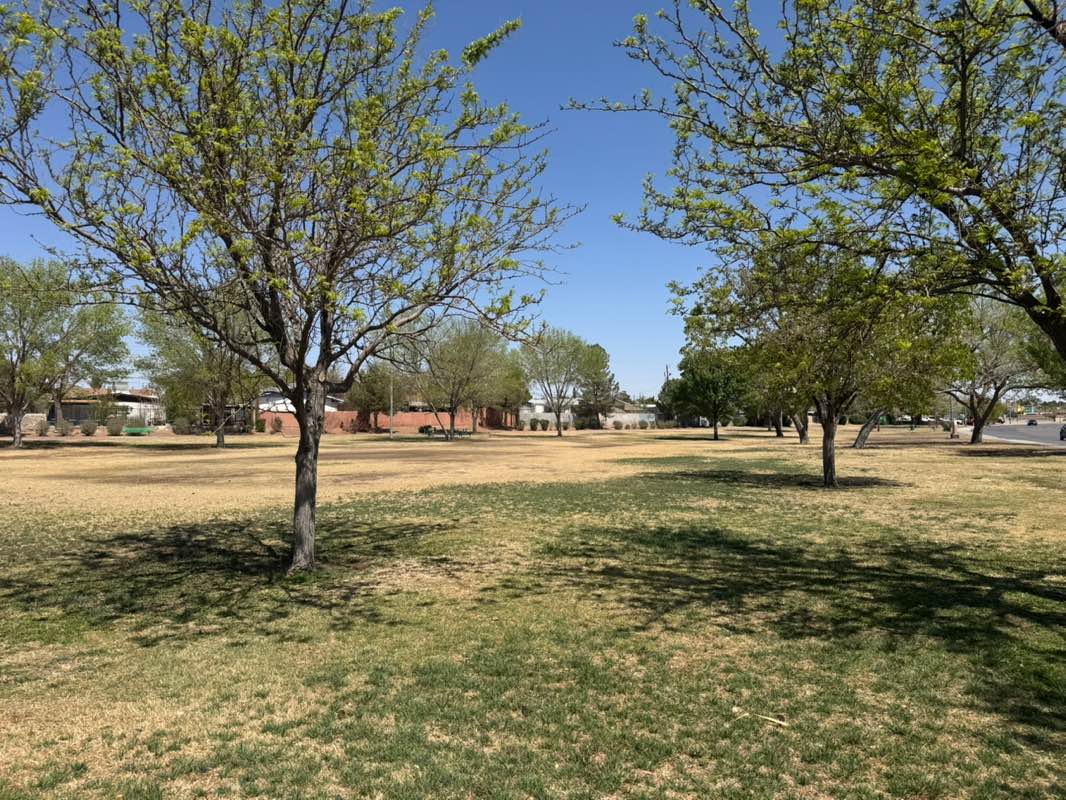walking near me in Carolina Park in spring