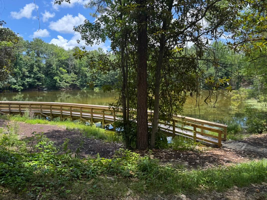 walking near me in Cliffview Lake in summer