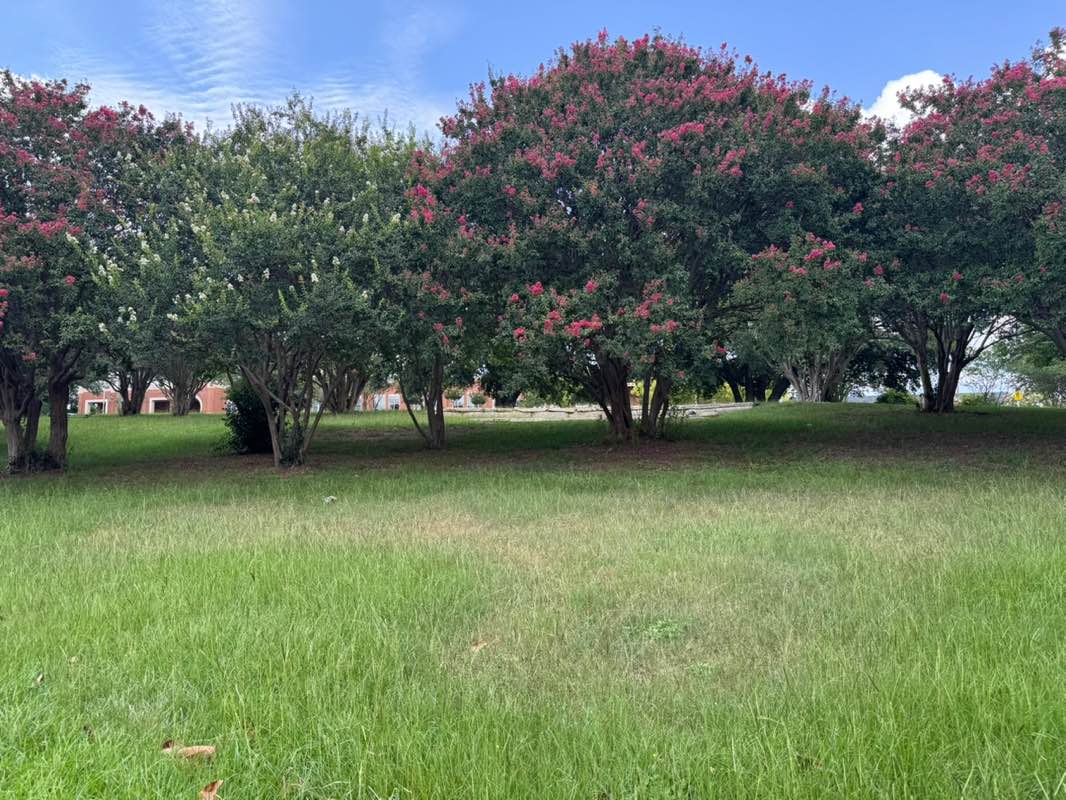 walking near me in High Street Park in autumn