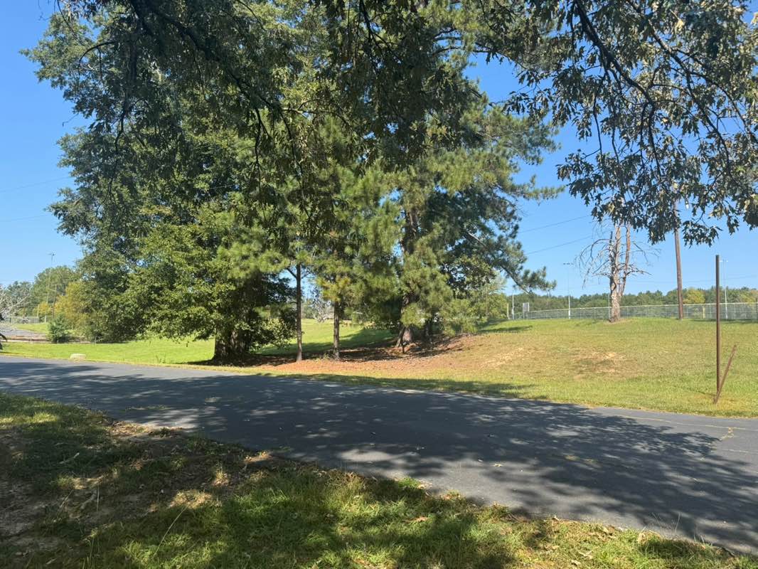 walking near me in Bloomfield Park in autumn