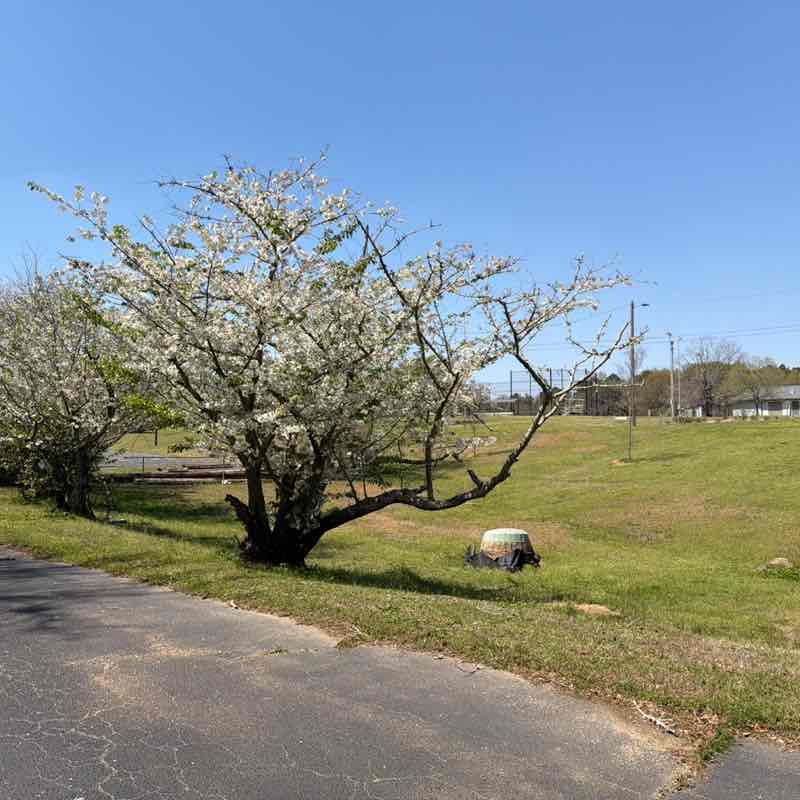 Jimmy🇺🇸🇧🇴🇵🇪🇨🇴 post 1