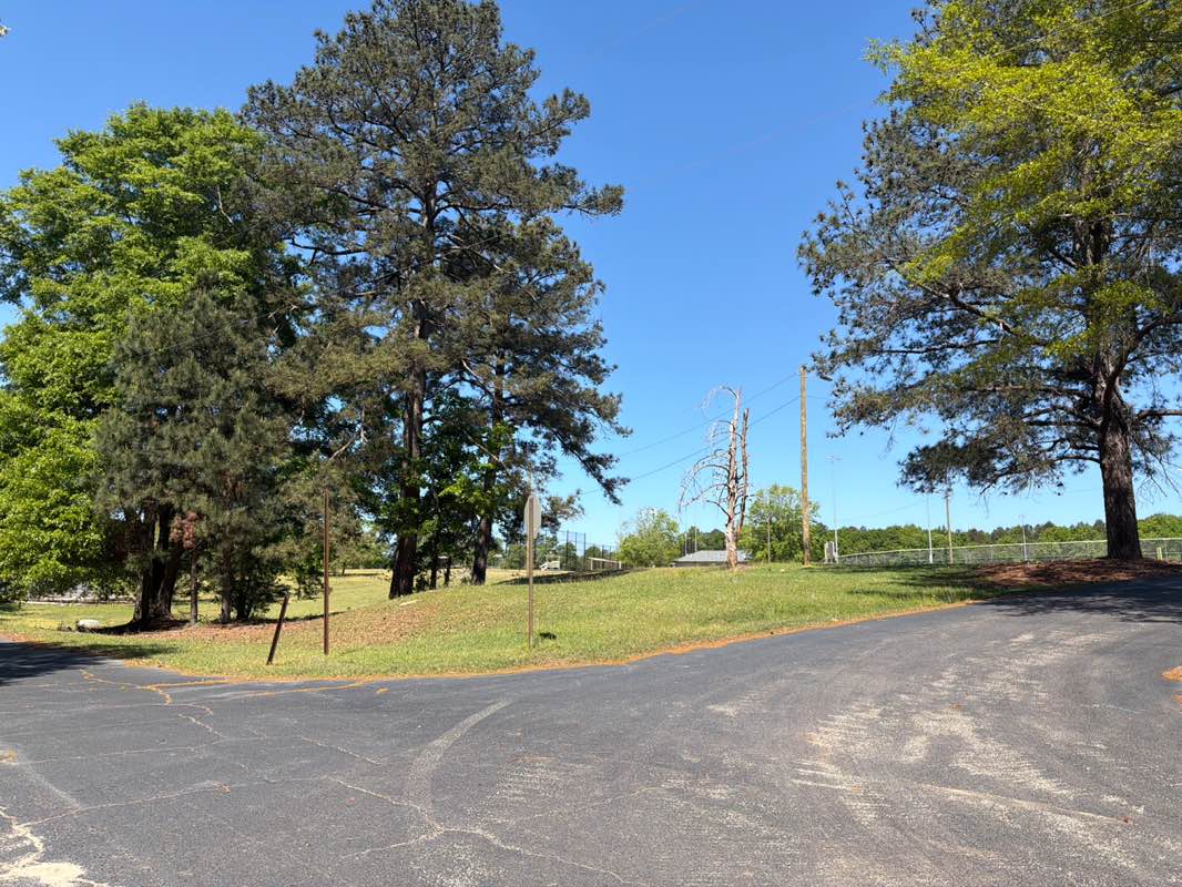 walking near me in Bloomfield Park in spring