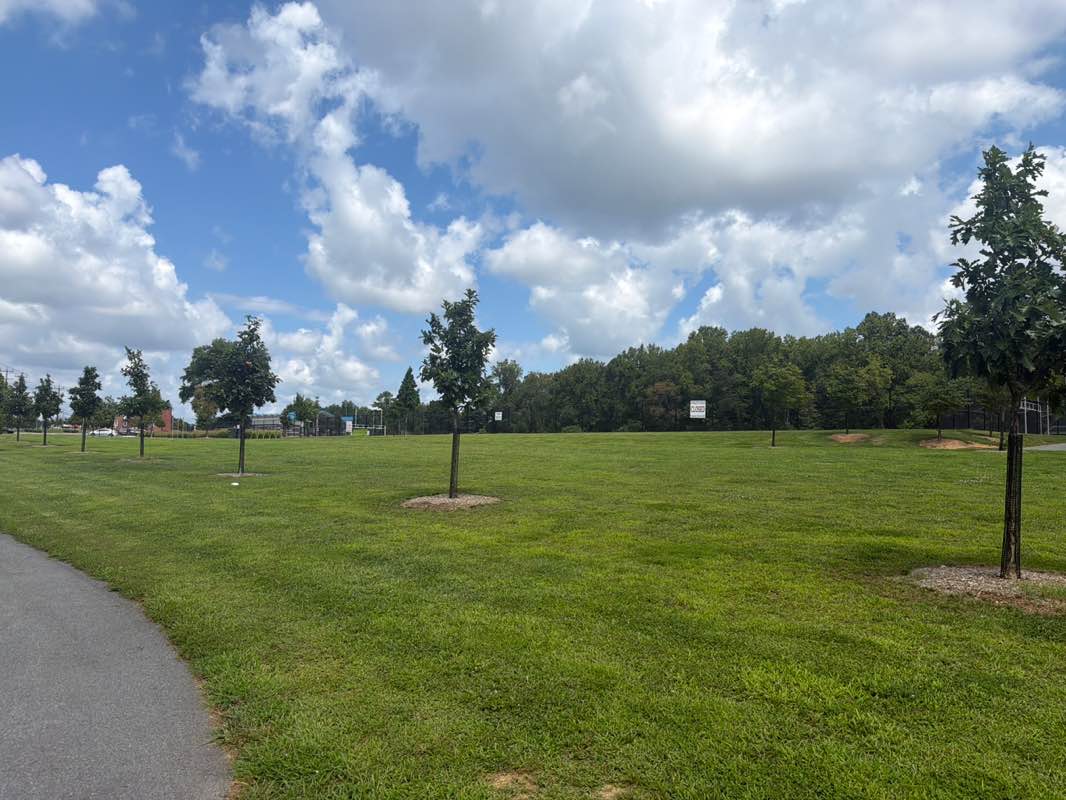 walking near me in Hillandale Local Park in summer