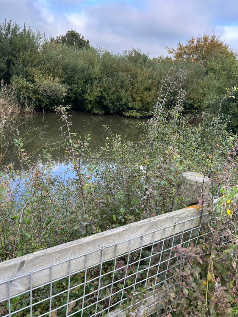 walking near me in Brookfield in autumn