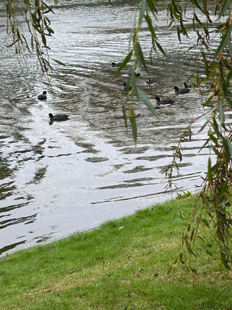 walking near me in Mewsbrook Park in autumn
