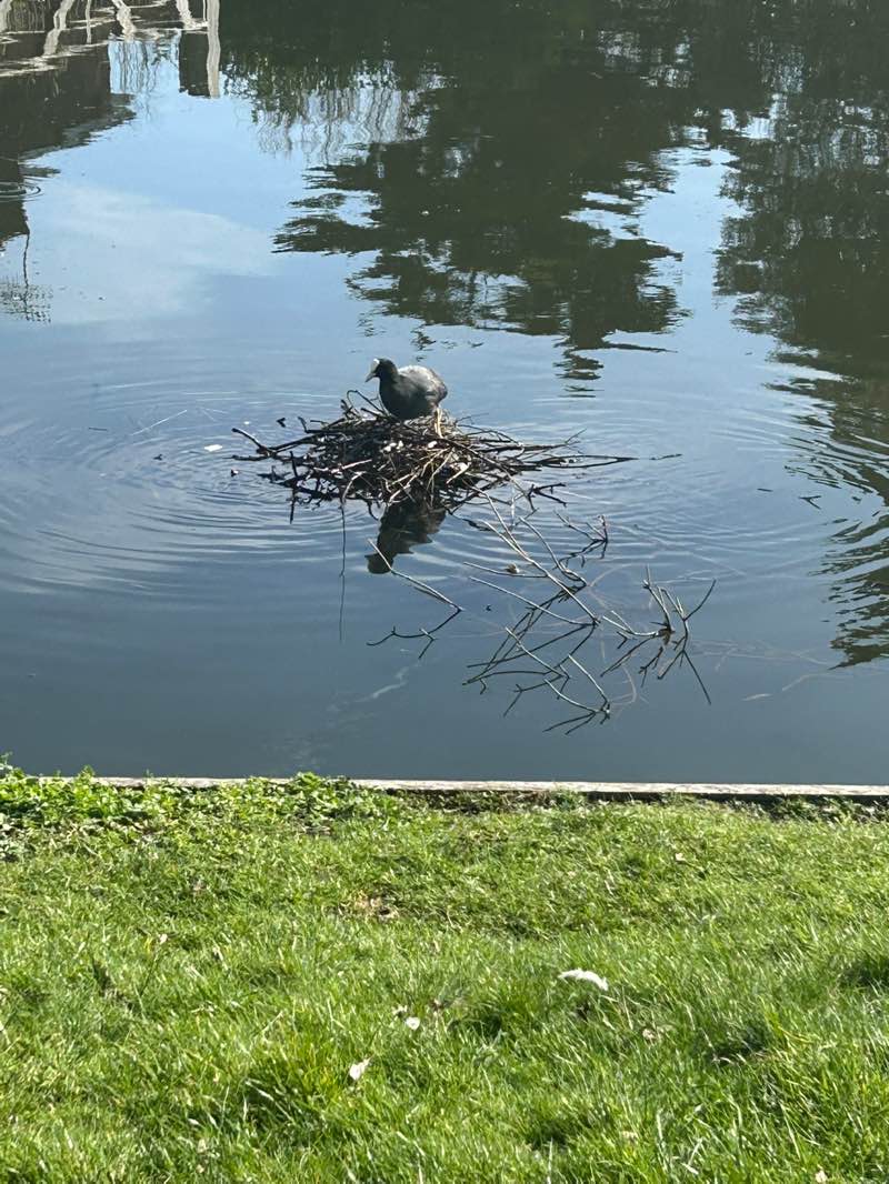 walking near me in Mewsbrook Park in winter