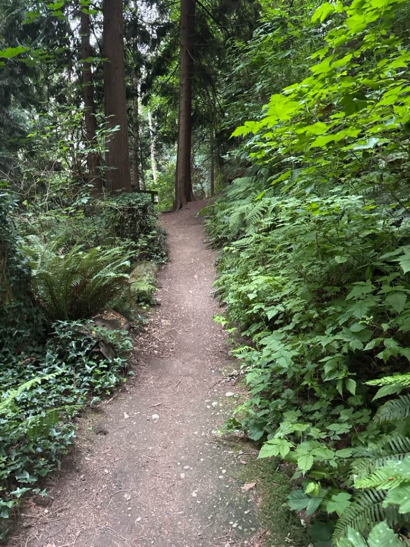 walking near me in White Rock Park in summer
