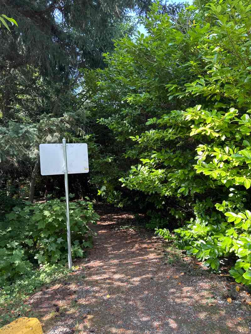 walking near me in Coldicutt Park in summer